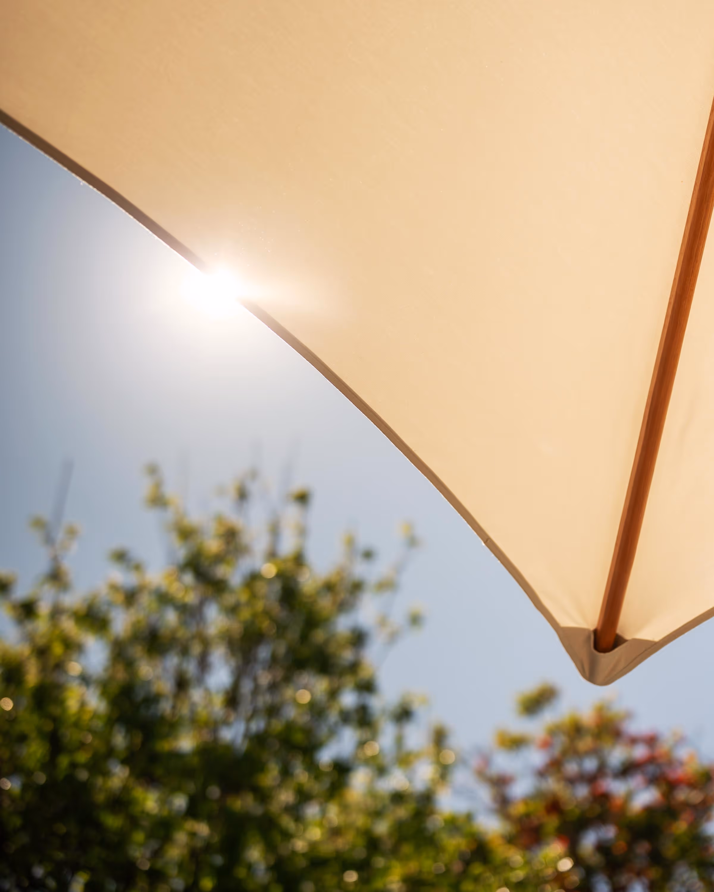 Sunlight shining through the edge of a beige outdoor umbrella with blurred green and red foliage in the background.
