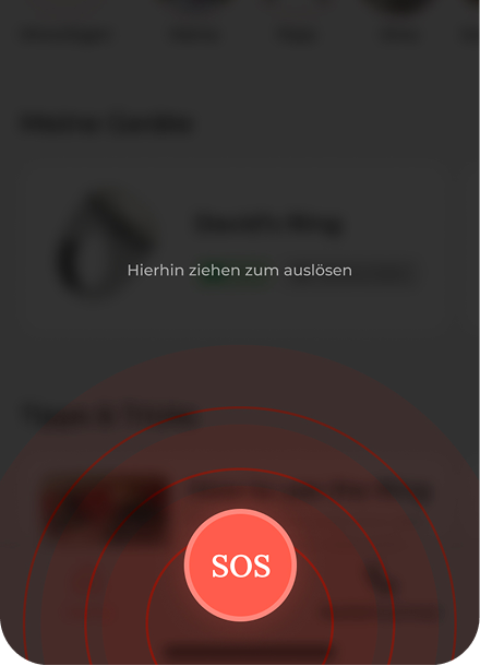 Kreativ- und Entwicklerstudio – Paul & Paul Studio - Projektscreenshot- Gistable