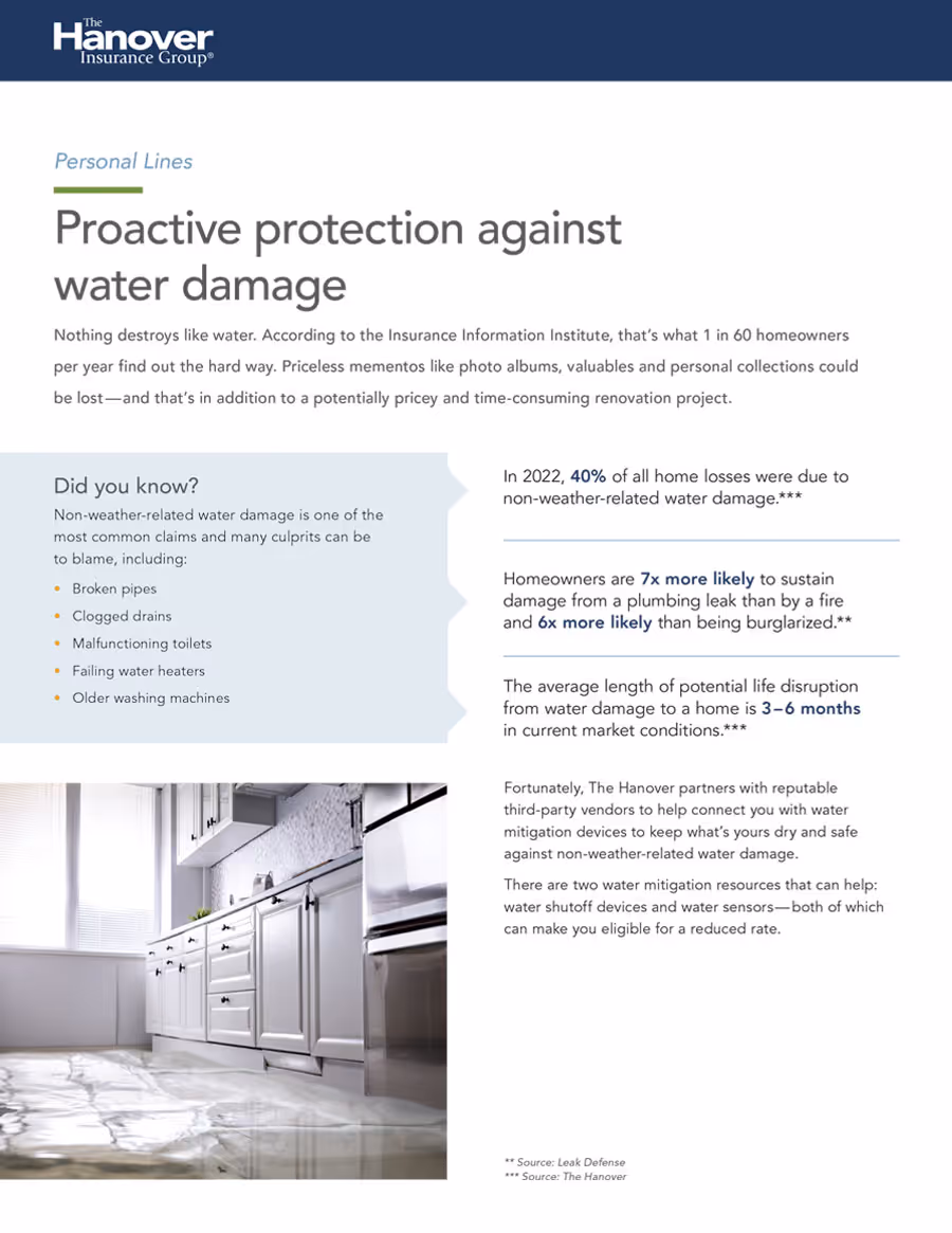 Hanover Water Damage - guide pdf