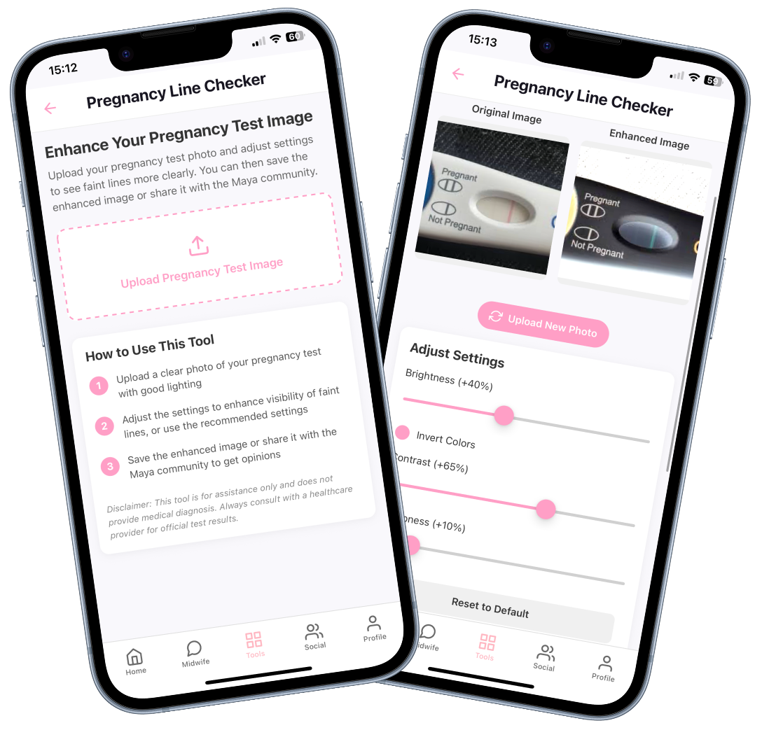 Pregnancy AI Pregnancy Line Checker