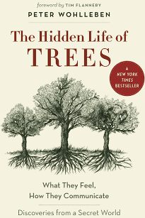 The Hidden Life of Trees: What They Feel, How They Communicate―Discoveries from A Secret World (The Mysteries of Nature, 1)