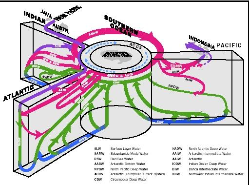 Ocean Currents - sea, depth, oceans, effects, temperature, important,  largest, salt, system