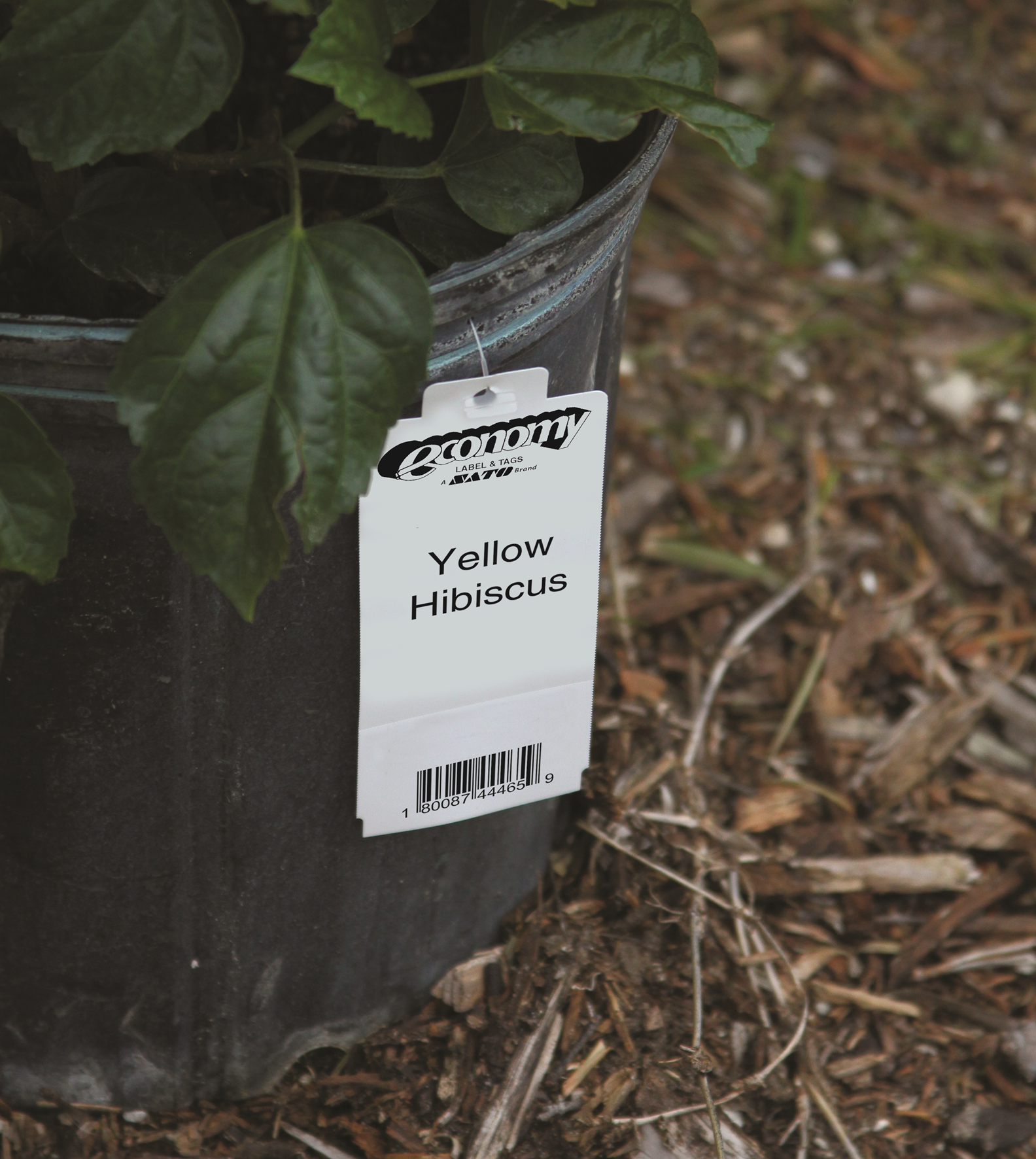 1 X 2.125 w/ 1/8" hole Thermal Hang Tags 4,000 tags per roll