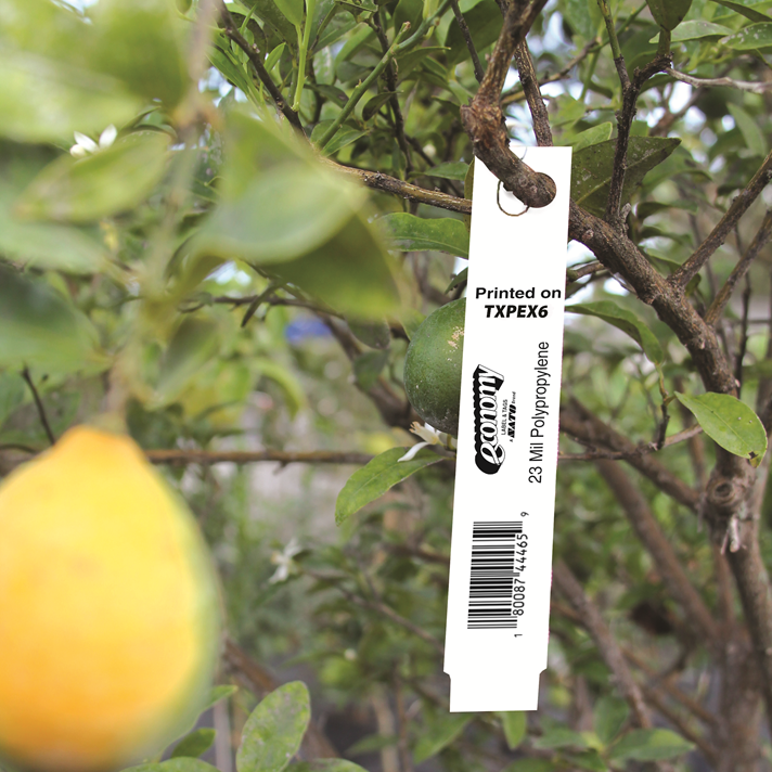 1 X 5 Thermal Sta-Loc Hang Tags 1,000 Tags per roll