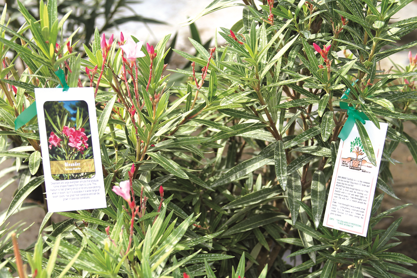 Superior Advantage 2.2 X 4.25 Laser Hang Tags (1,000 tags per pack)