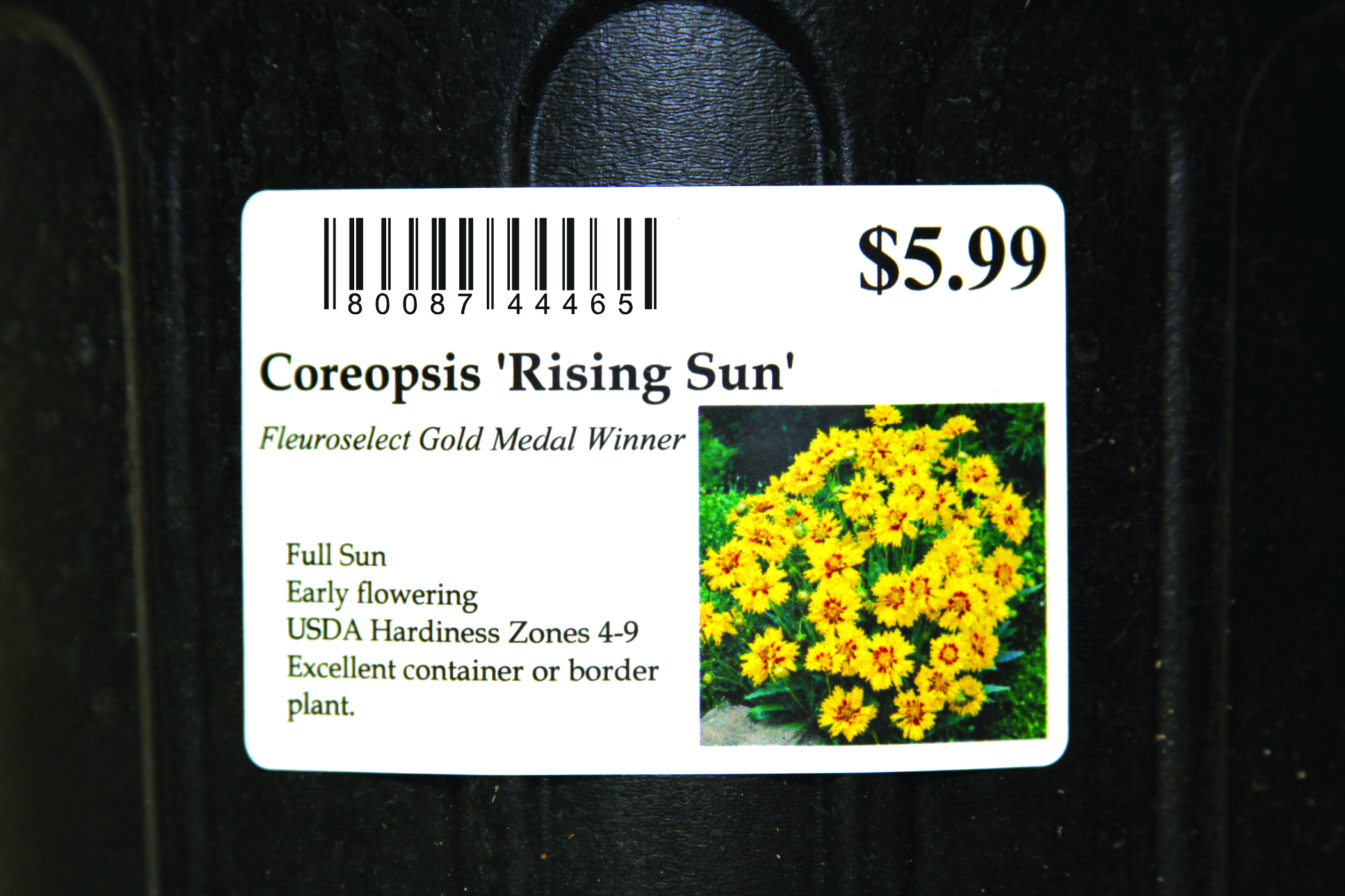 8.5 x 11 Laser Labels (1 Tag Per Sheet, 100 Tags Per Pack)