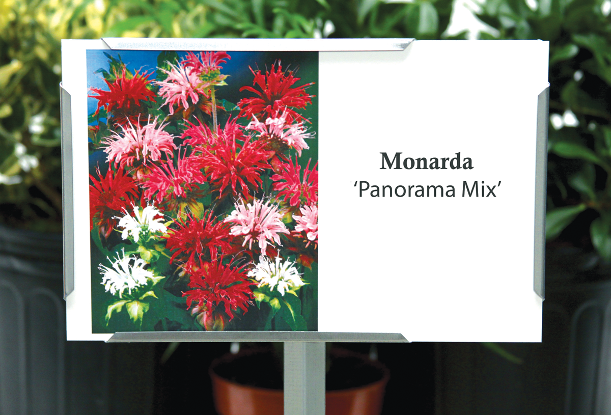 Valueline 8-1/2 X 11 Laser Signs 100 per pack