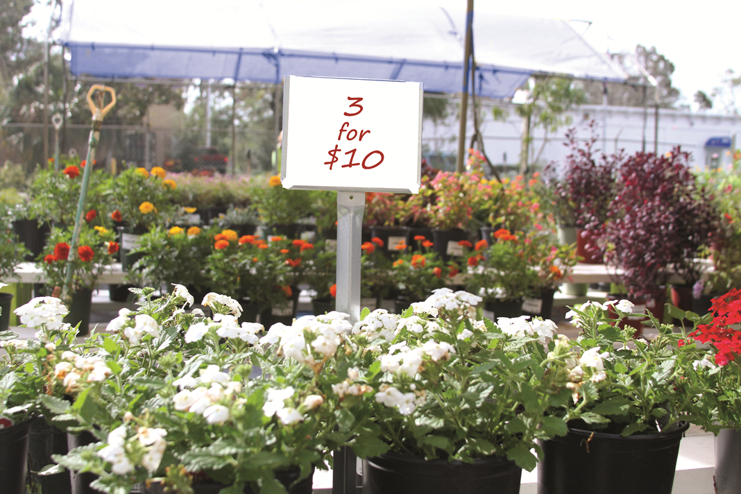 Blank Signs 7 x 8-1/4 Stock Signs White 50 per pack