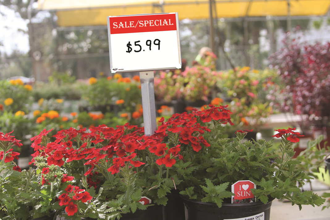 Pre-Printed Signs 7 x 5 Stock Signs (Flowering) 25 per pack