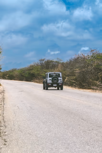 Pickup Huren Bonaire