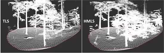 Forest Inventory with Terrestrial LiDAR: A Comparison of Static and  Hand-Held Mobile Laser Scanning