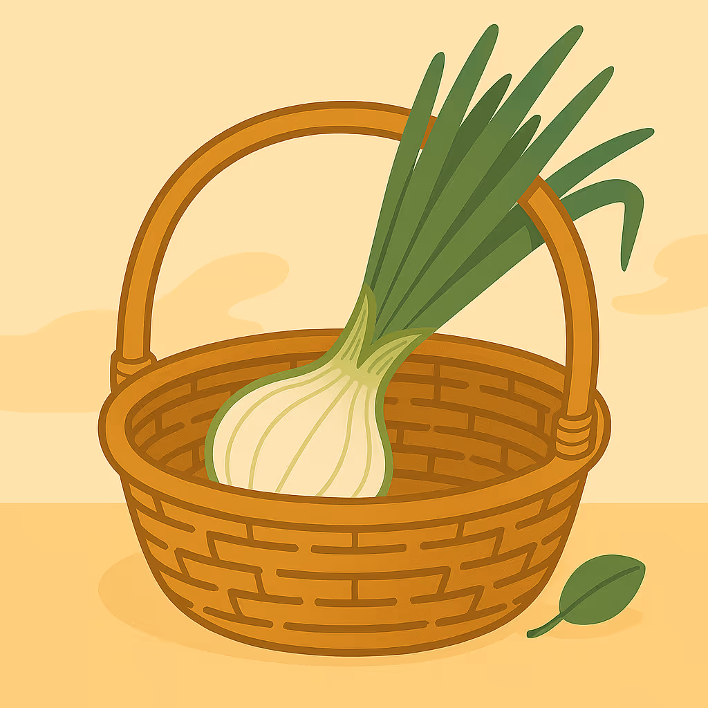 At 26 weeks, your baby is now about the size of a Spring Onion, bringing them to about 2 pounds now.