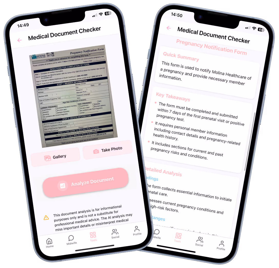 AI Pregnancy Document Explainer