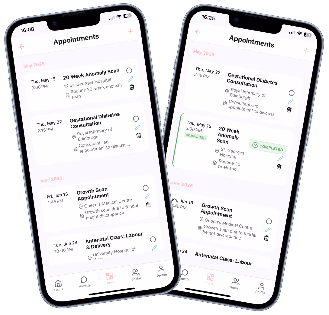 AI Pregnancy Appointment Manager