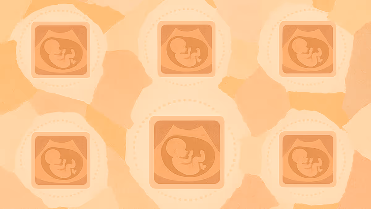 We are building technology that can predict a baby’s gender from a single ultrasound image. The idea feels almost futuristic, yet the science behind it is surprisingly practical.