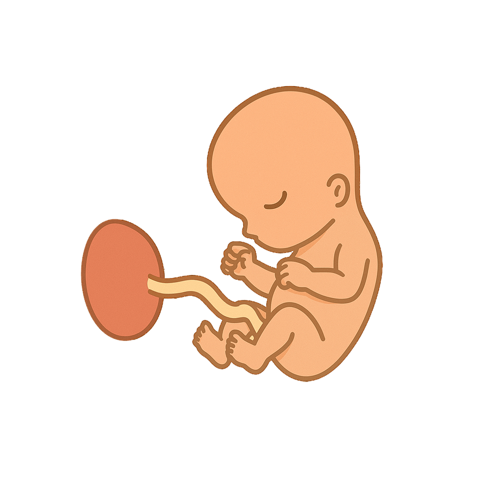 Welcome to the double digits! Hitting 10 weeks in pregnancy is a huge achievement 💛