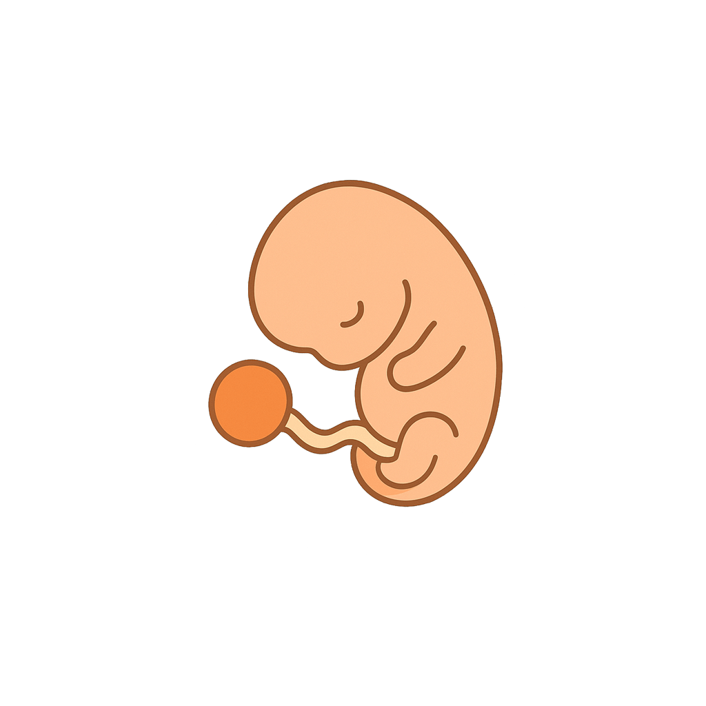 As you step into the 7-week mark, the sense of reality begins to deepen.