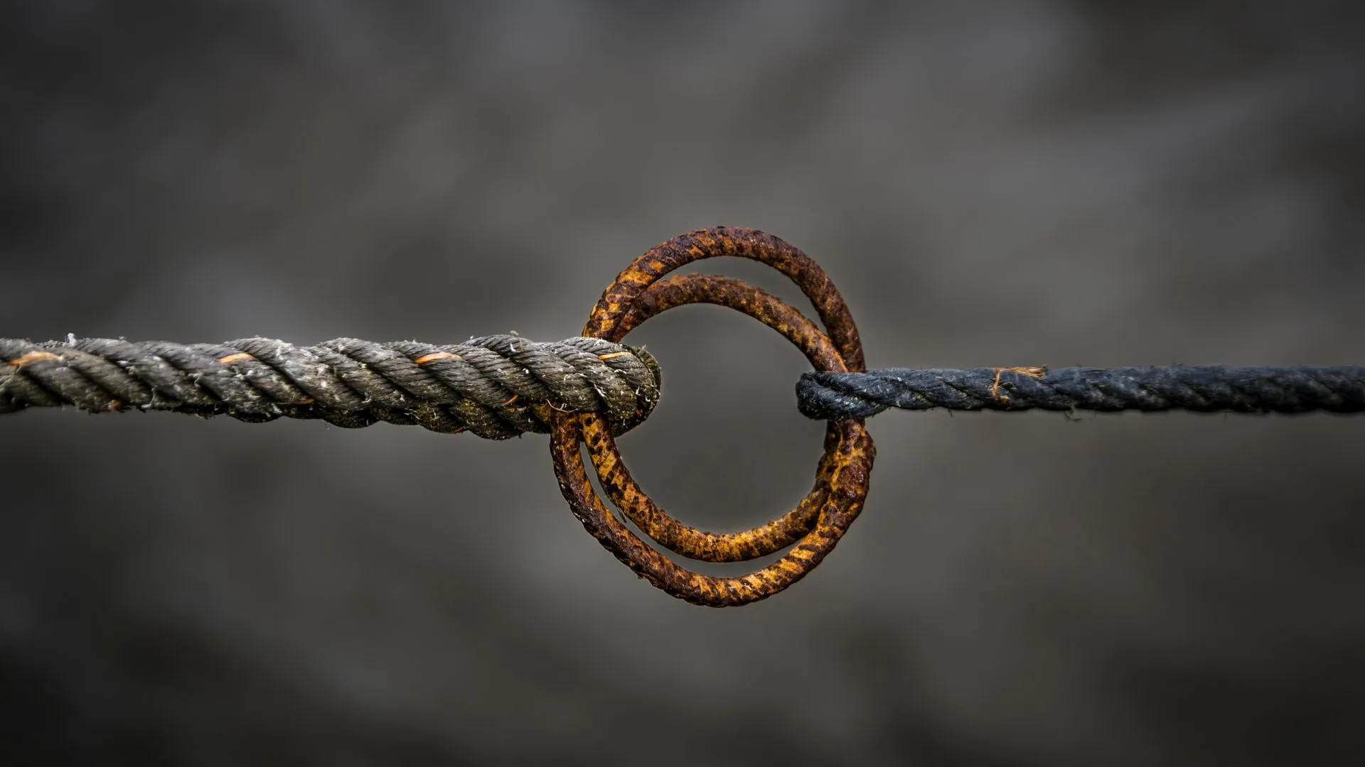 Two ropes are tied to a metal ring