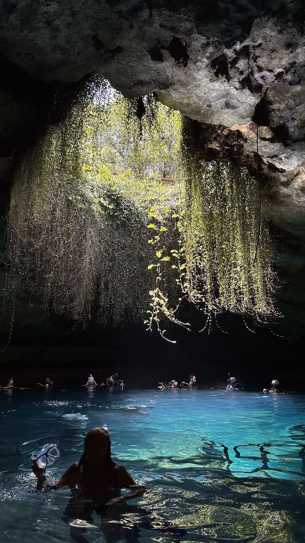 Swimmers and divers in the clear, blue water of Devil’s Den, a prehistoric underground spring near Williston, lit by natural sunlight streaming through a circular cave opening draped with trailing vines. {vertical}