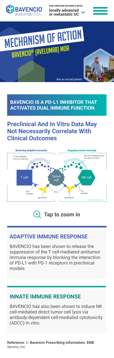 Infographic titled 'Mechanism of Action' for Bavencio (avelumab) showing its dual immune function as a PD-L1 inhibitor. It explains Bavencio activates adaptive immunity by blocking PD-L1 interaction with PD-1 receptors on T cells to restore T cell-mediated immune response, and innate immunity by inducing NK cell-mediated tumor cell lysis via ADCC. Sections include 'ADAPTIVE IMMUNE RESPONSE' describing release of T cell suppression, and 'INNATE IMMUNE RESPONSE' describing NK cell-mediated cytotoxicity in vitro. Includes reference to Bavencio prescribing information.