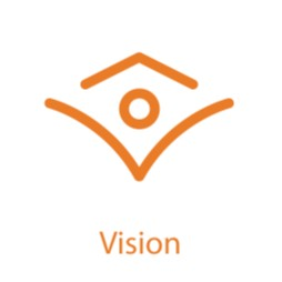 Vision ValYou Symbol