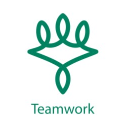 Teamwork ValYou Symbol