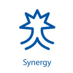 Synergy ValYou Symbol