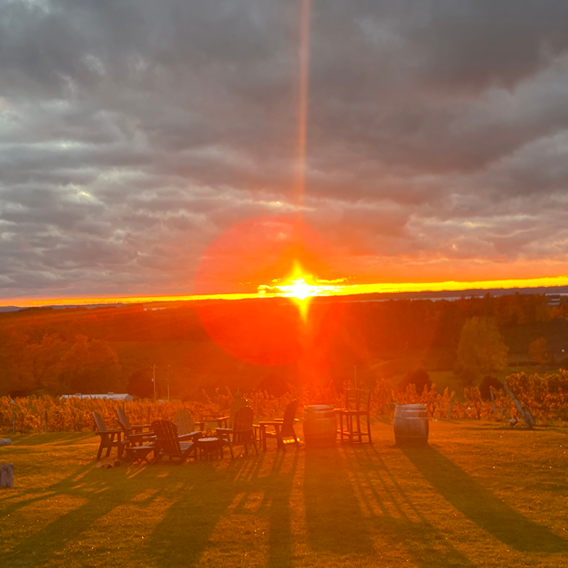 Our Favorite Wineries in Michigan: A Guide to Wine Trails, Tastings & Weekend Getaways