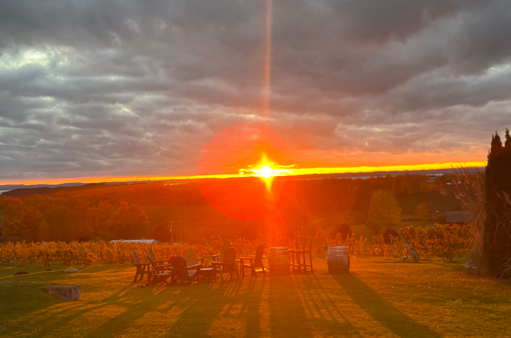 Our Favorite Wineries in Michigan: A Guide to Wine Trails, Tastings & Weekend Getaways