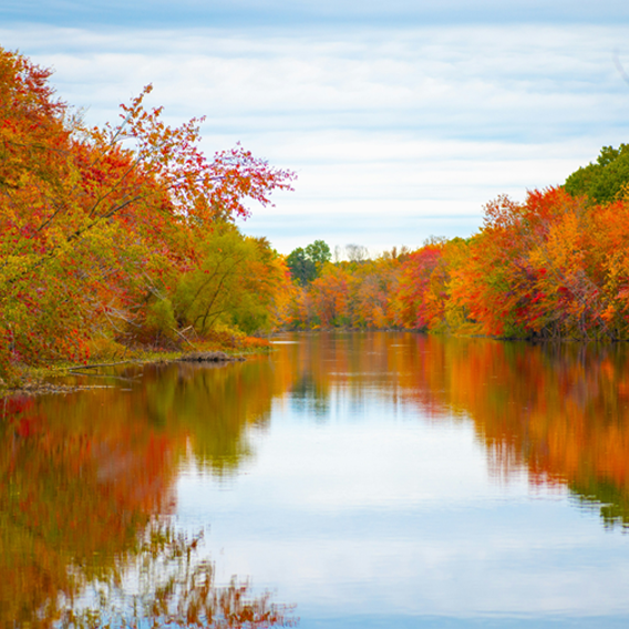 Fall Color Lake Getaways in Michigan: Where to See Peak Foliage in 2025