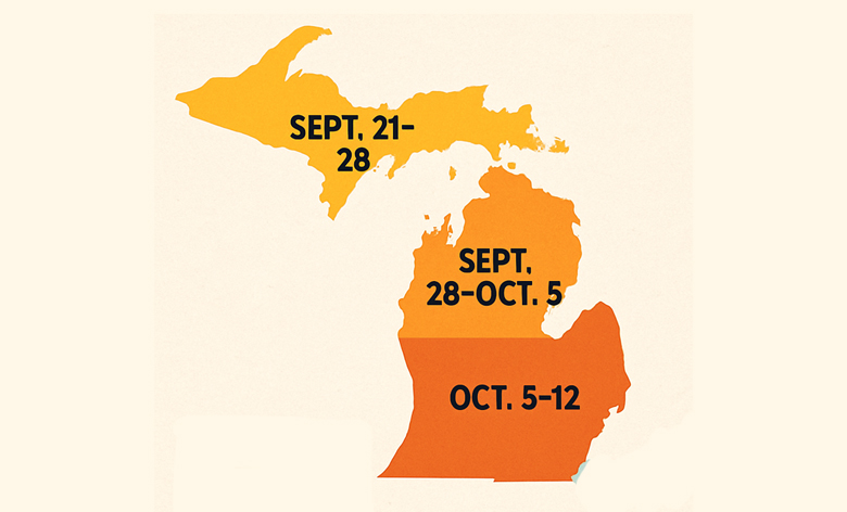 Fall Colors in Michigan: Explore Vibrant Foliage