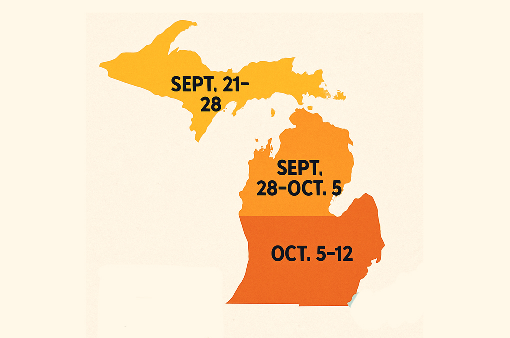 Fall Colors in Michigan: Explore Vibrant Foliage