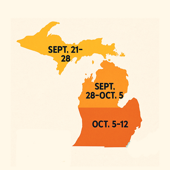 Fall Colors in Michigan: Explore Vibrant Foliage