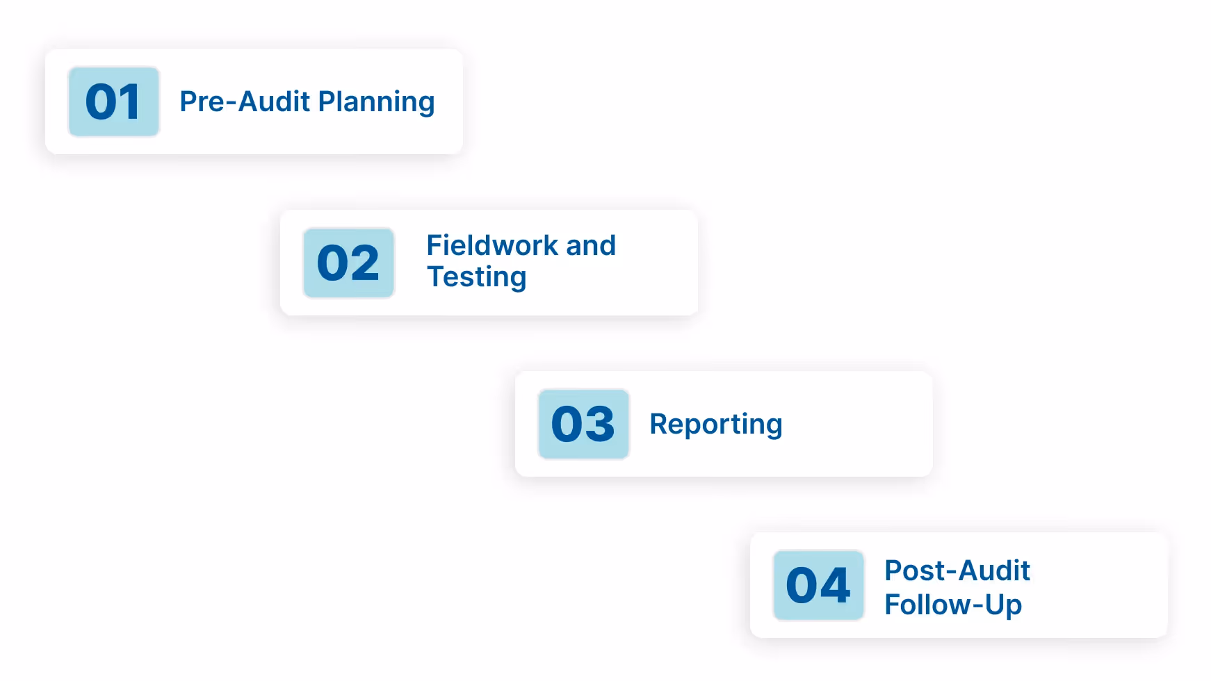 The Single Audit Process