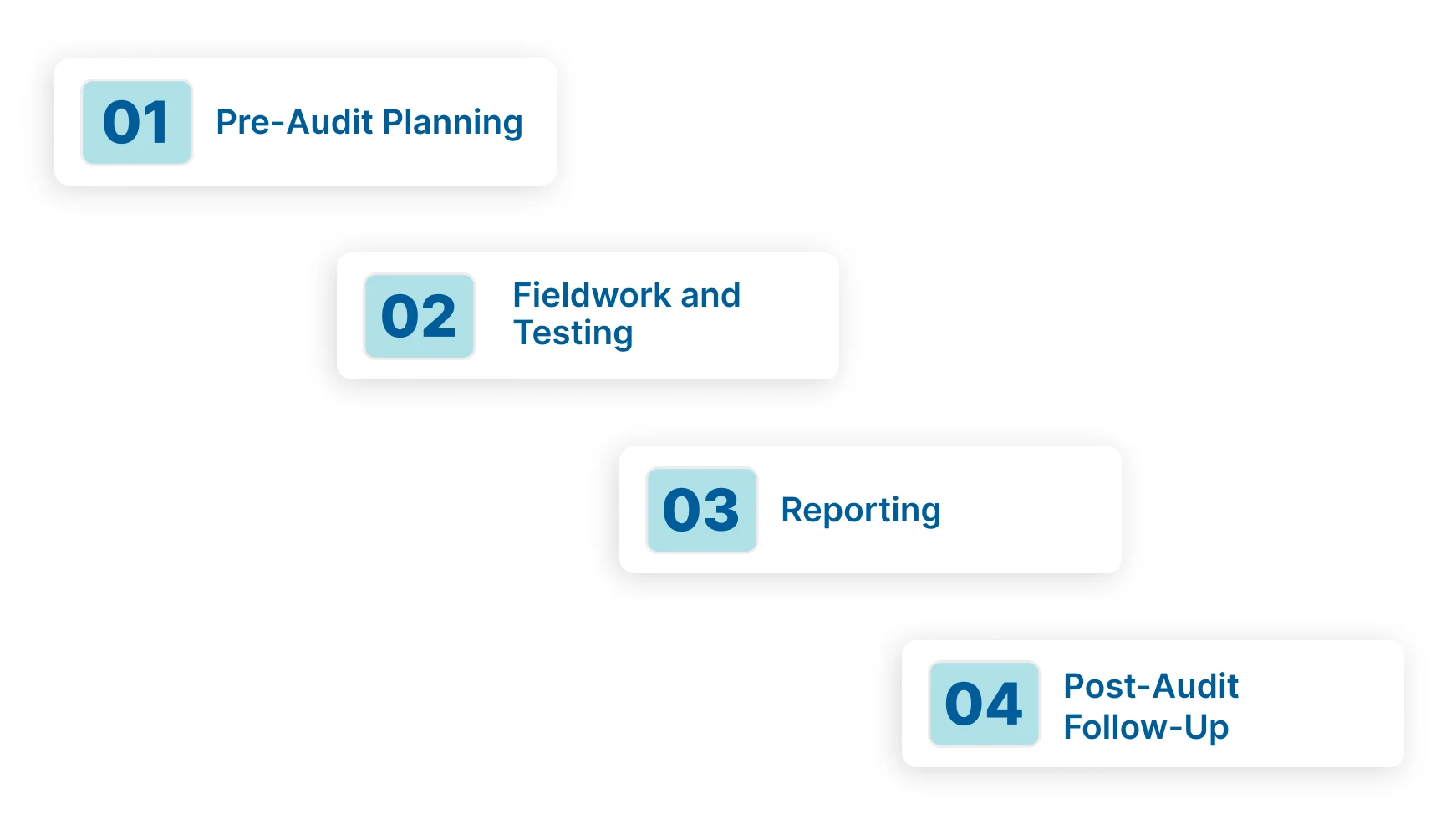 The Single Audit Process