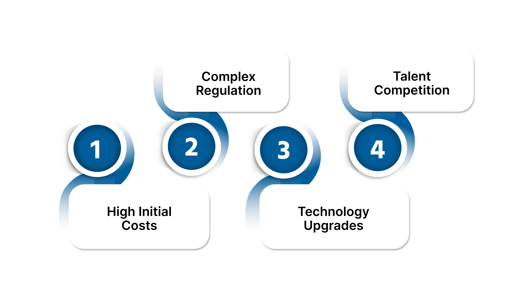 Challenges and Success Factors