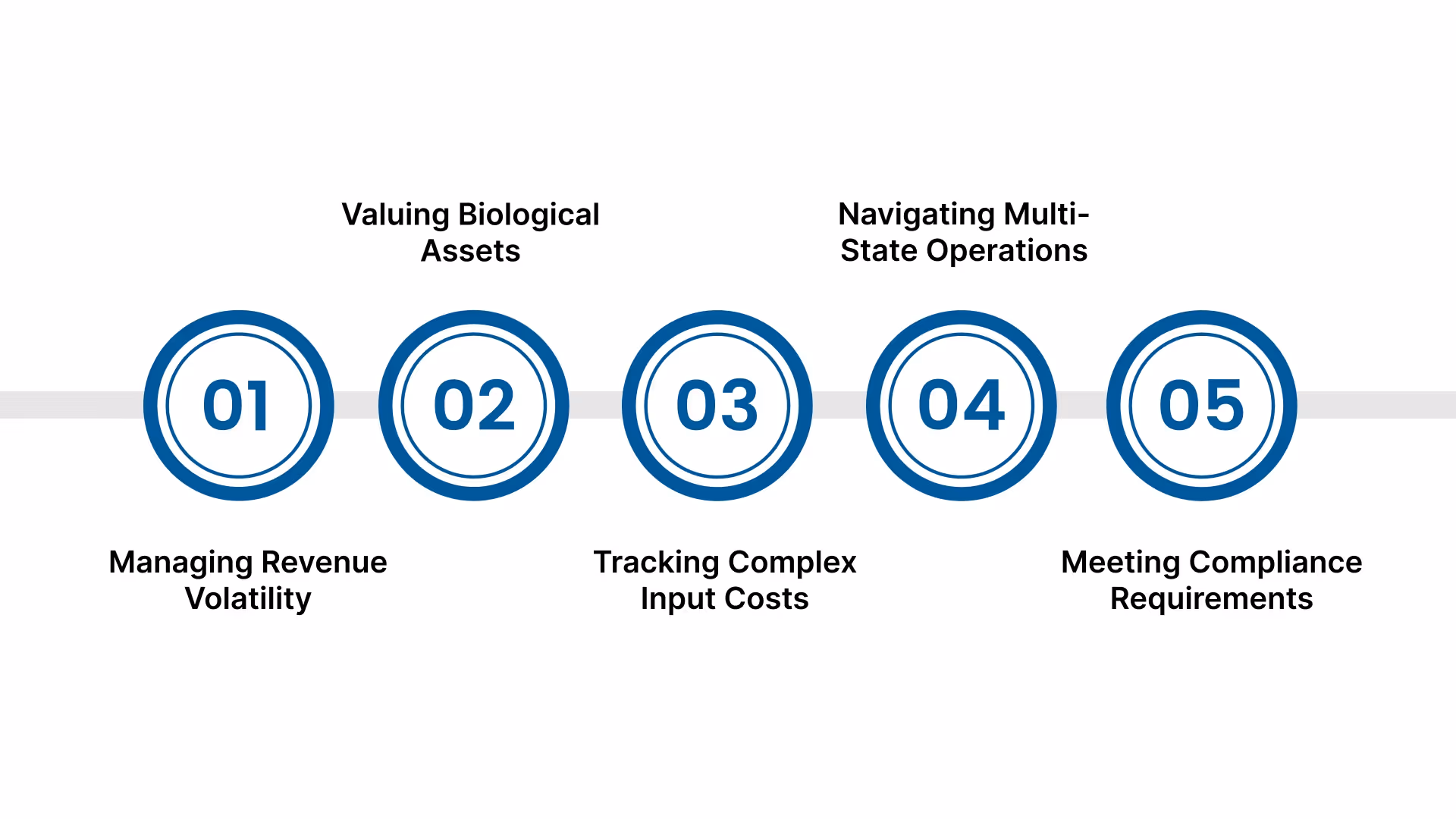 Challenges In Agriculture Accounting