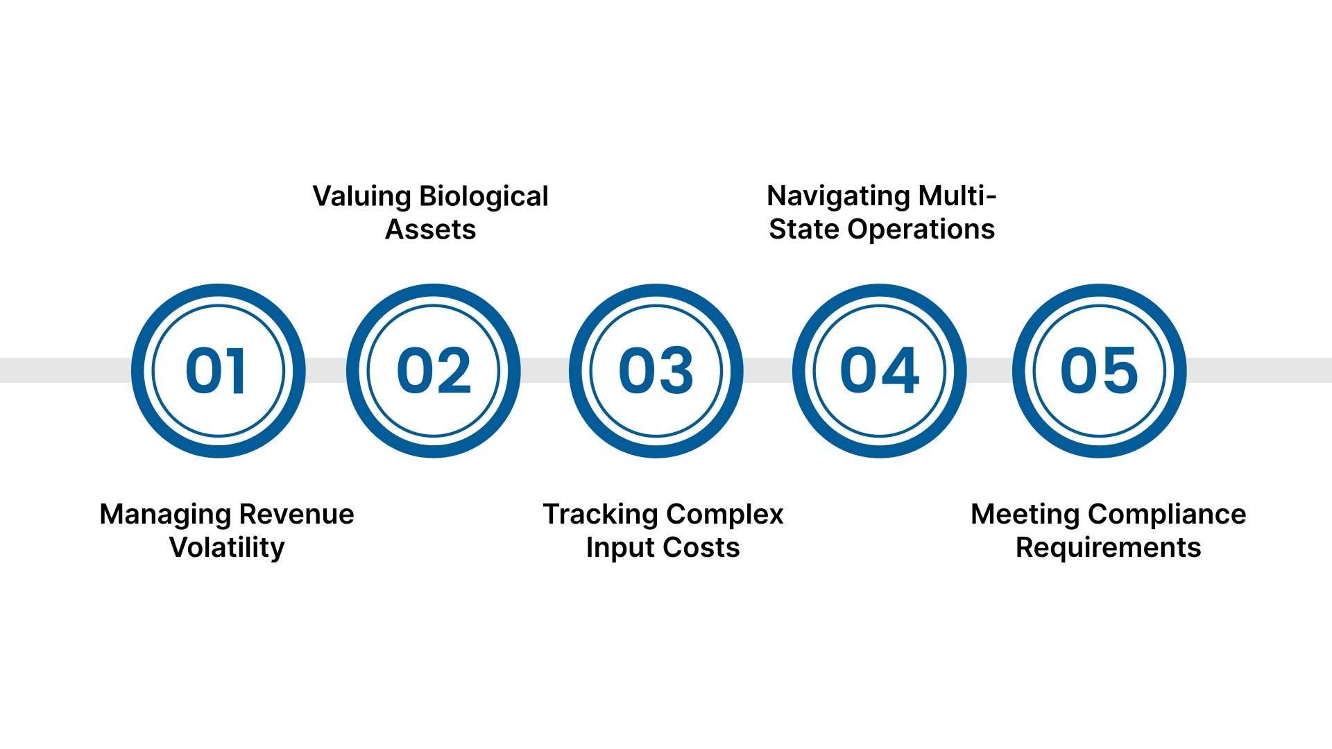 Challenges In Agriculture Accounting