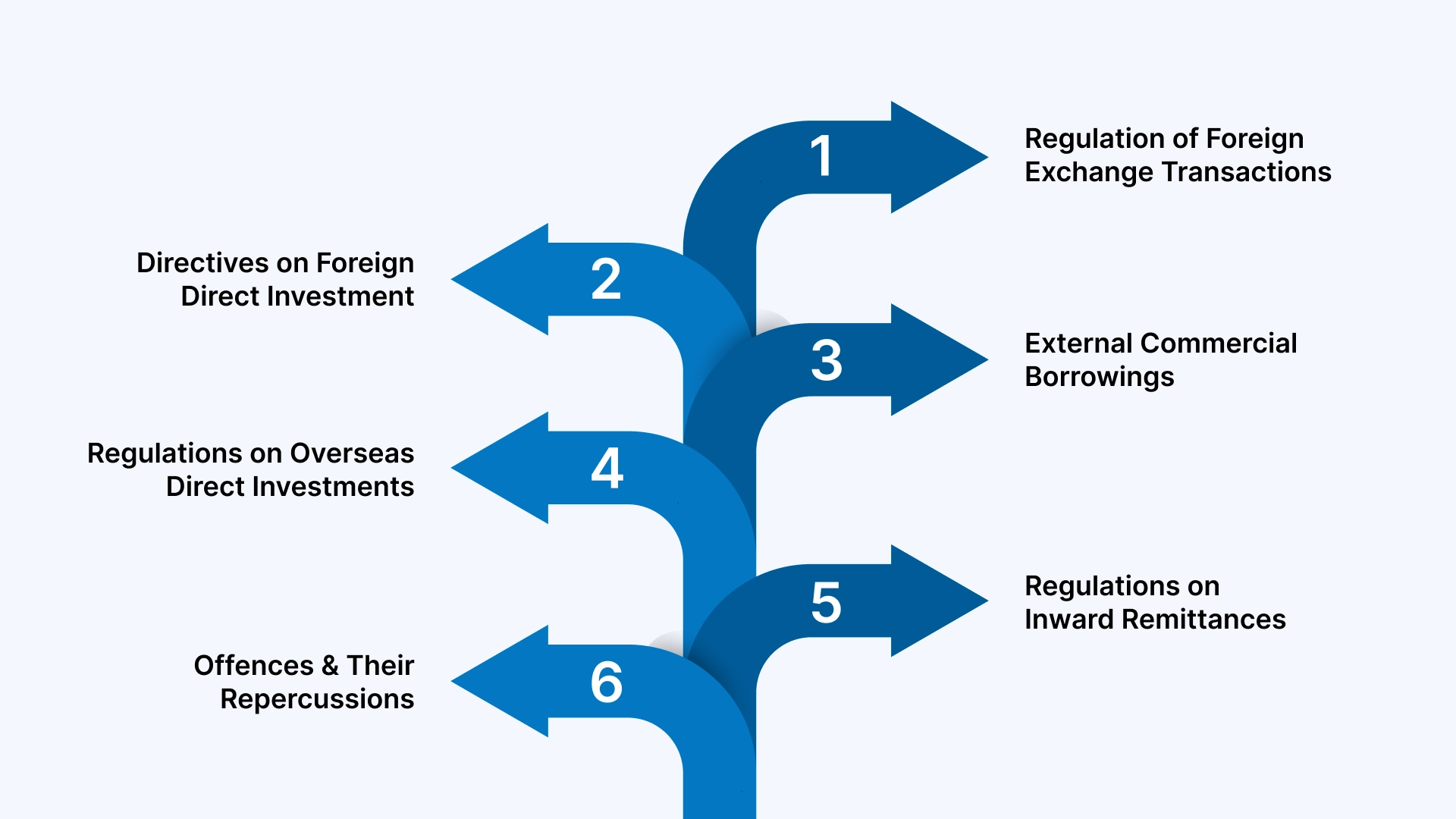 What Are the Basic Guidelines Under FEMA?