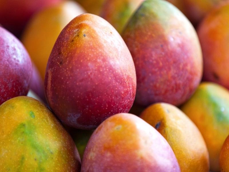 mangos