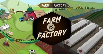 farm vs. factory