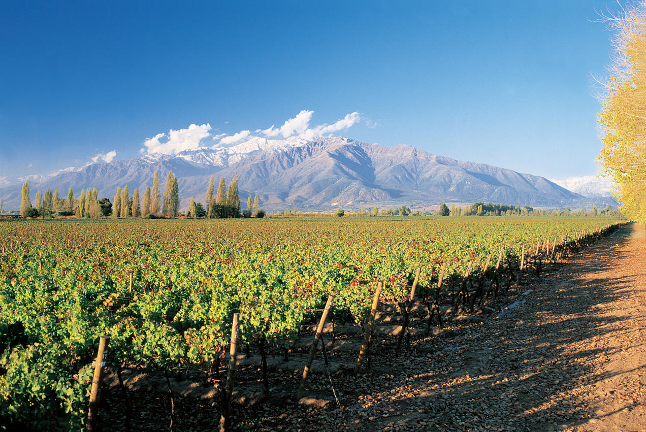 Agricultural Potential in Chile