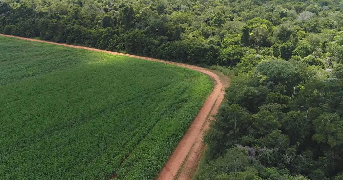 Agricultural Potential in Brazil
