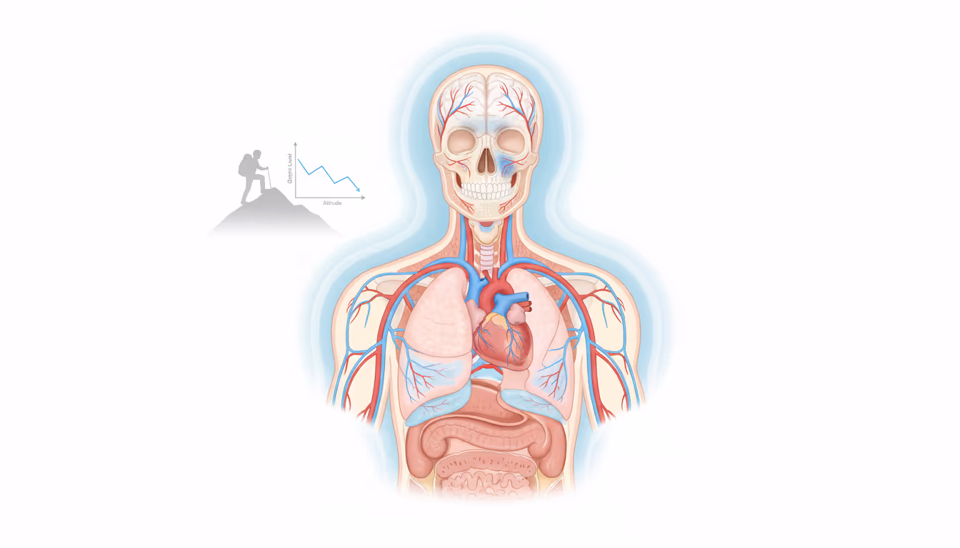 Altitude sickness