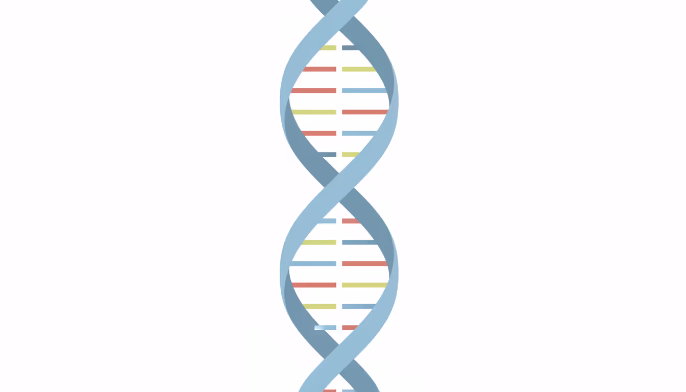 DNA