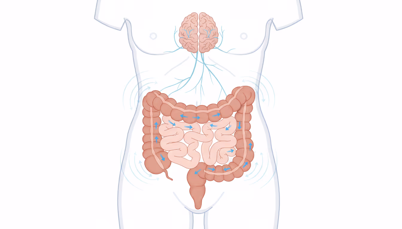 Nervous colon syndrome