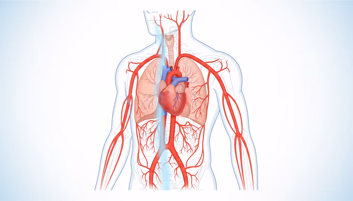 PALS (Pediatric Advanced Life Support)