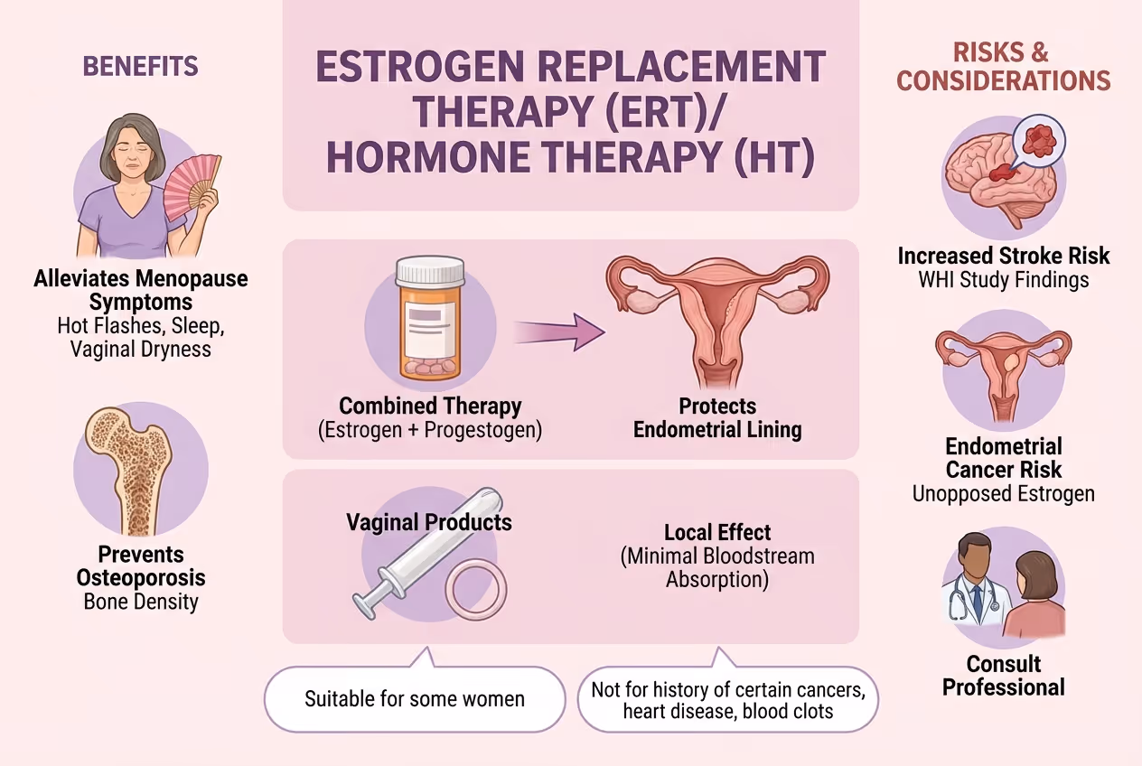 ERT (estrogen replacement therapy)