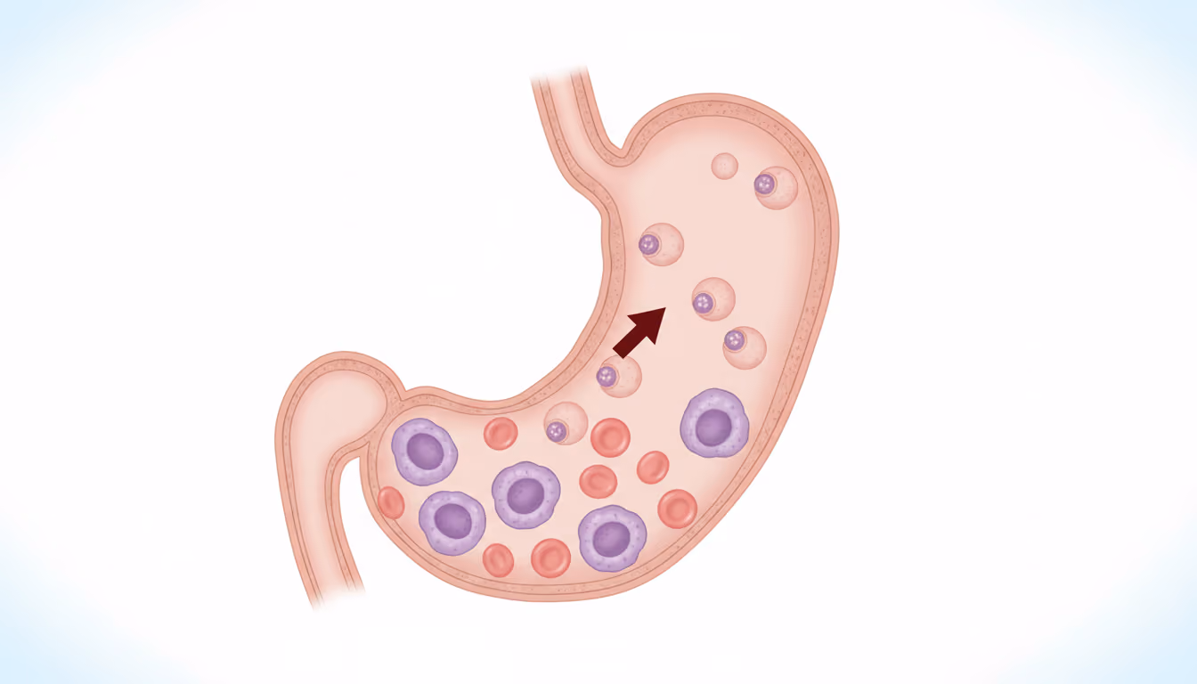 Addisonian anemia