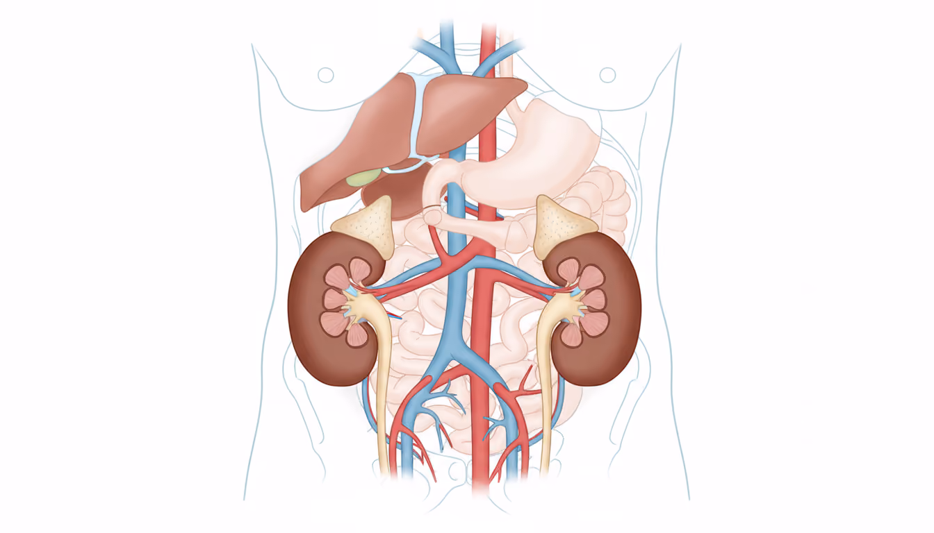 Adrenal medulla